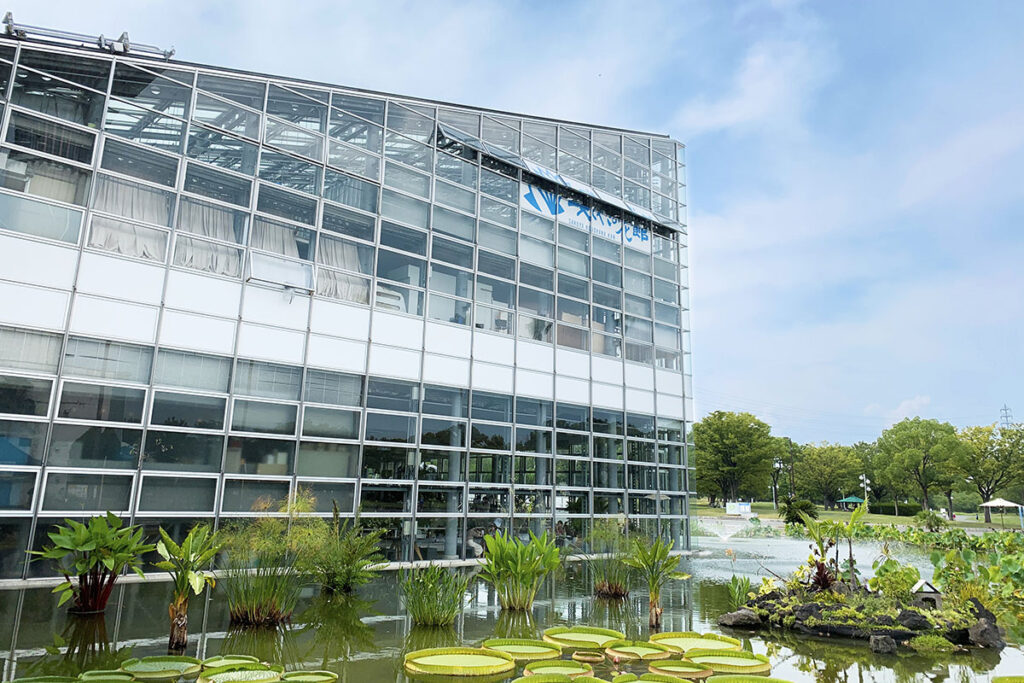 咲くやこの花館 へ行ってきた、8月の旬の植物や花を撮影