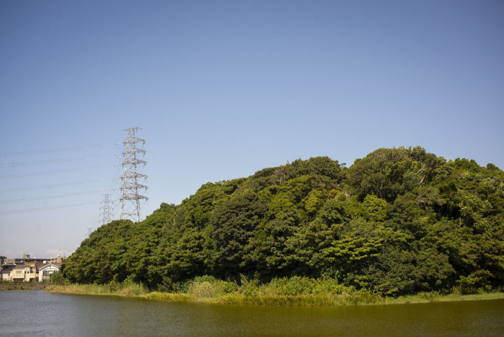 御廟山古墳は百舌鳥古墳群で4番目の大きさの古墳!!撮影に行ってきた
