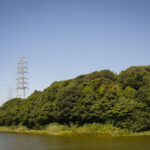 御廟山古墳は百舌鳥古墳群で4番目の大きさの古墳!!撮影に行ってきた