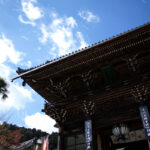 奈良県桜井市にある長谷寺の大仏と紅葉を見に行ってきた