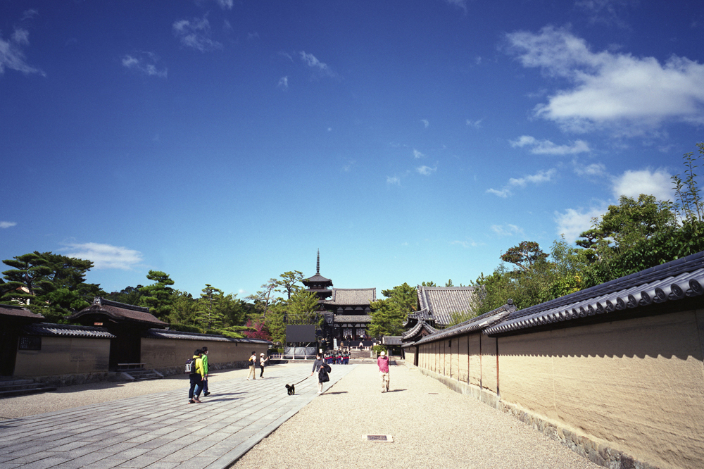斑鳩の法隆寺は日本最古、いいえ世界最古の木造建築物！！マミヤ7IIで撮影してきた