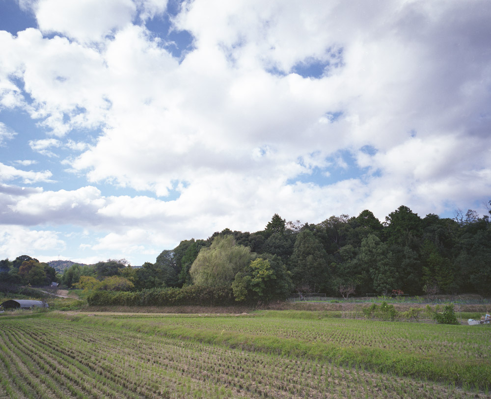 法輪寺周辺の田園