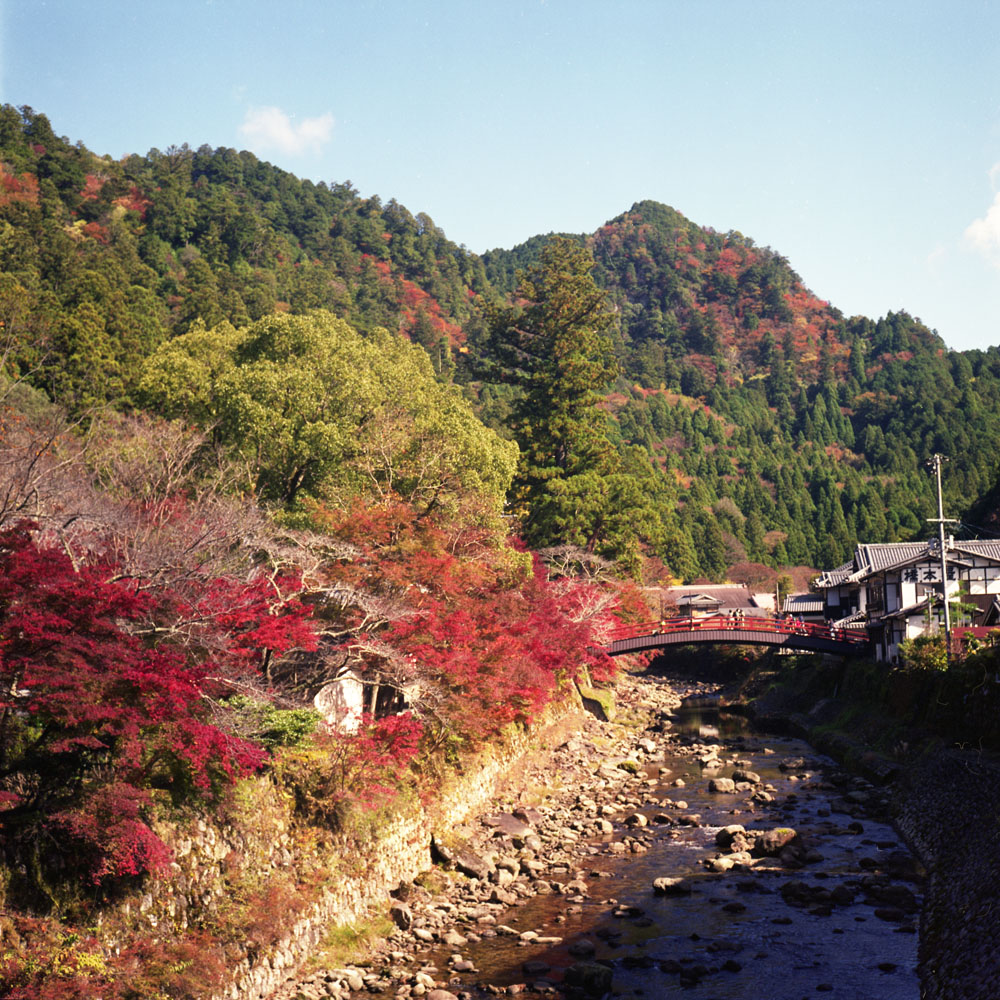 室生寺周辺