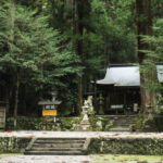 奈良の龍穴神社に観光しつつローライフレックス2.8Dで撮影してきた