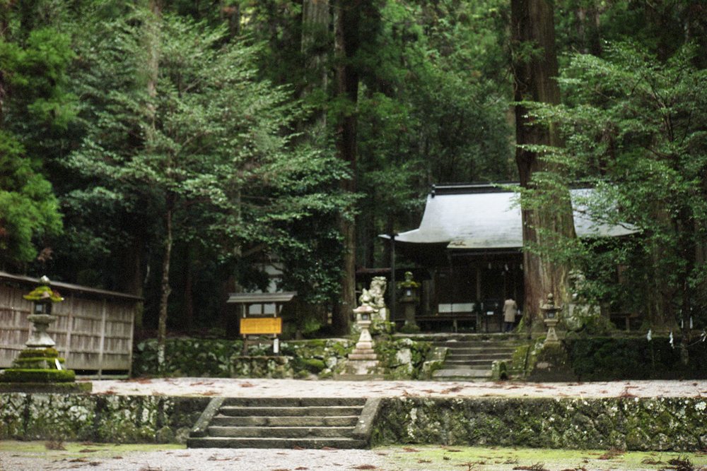 奈良の龍穴神社に観光しつつローライフレックス2.8Dで撮影してきた