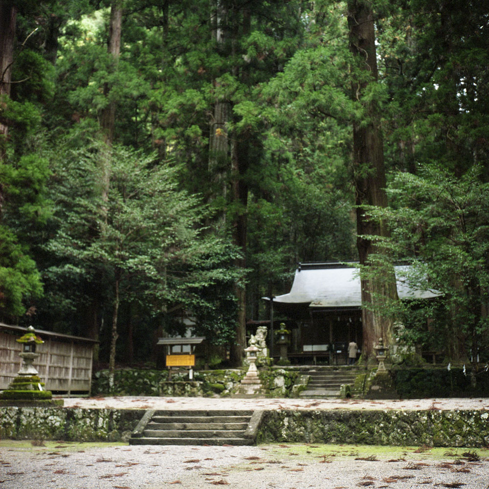 龍穴神社の境内