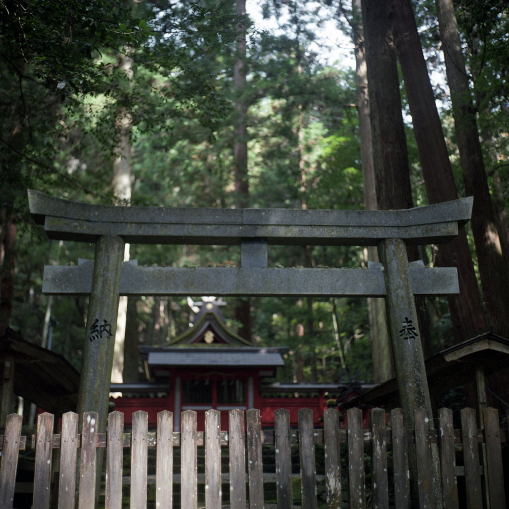 龍穴神社の本殿