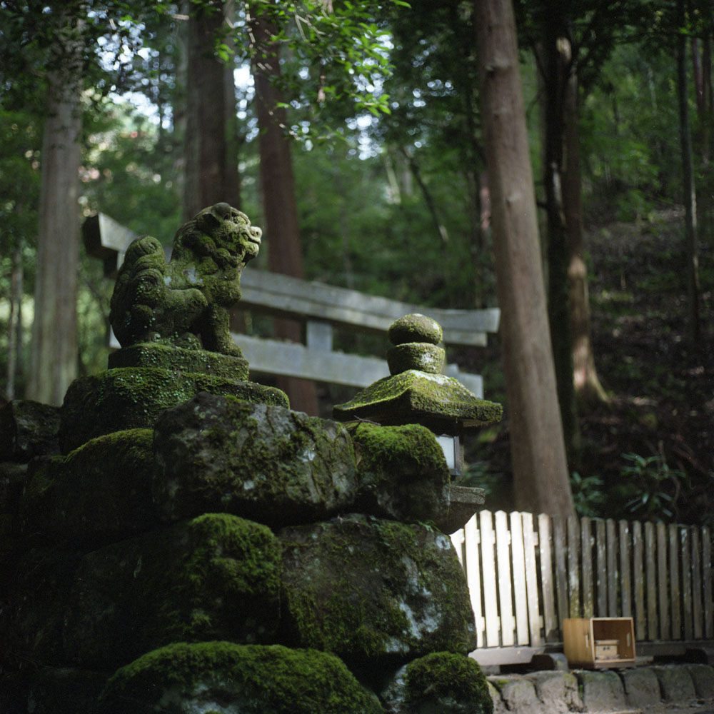 龍穴神社の狛犬