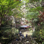Hasselblad SWCで奈良県宇陀市の室生寺に紅葉を撮影してきた