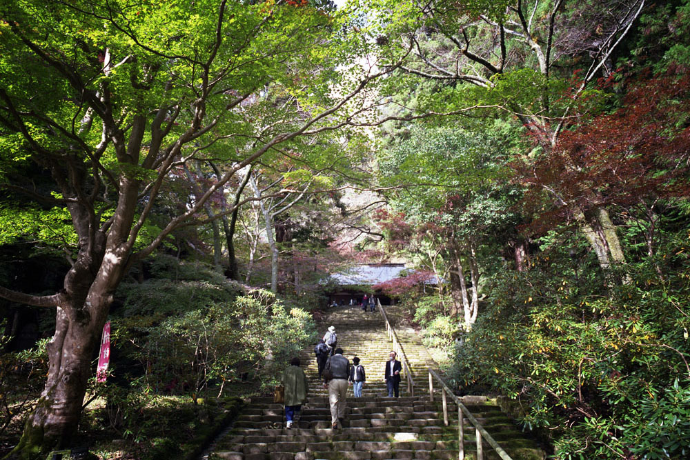 Hasselblad SWCで奈良県宇陀市の室生寺に紅葉を撮影してきた