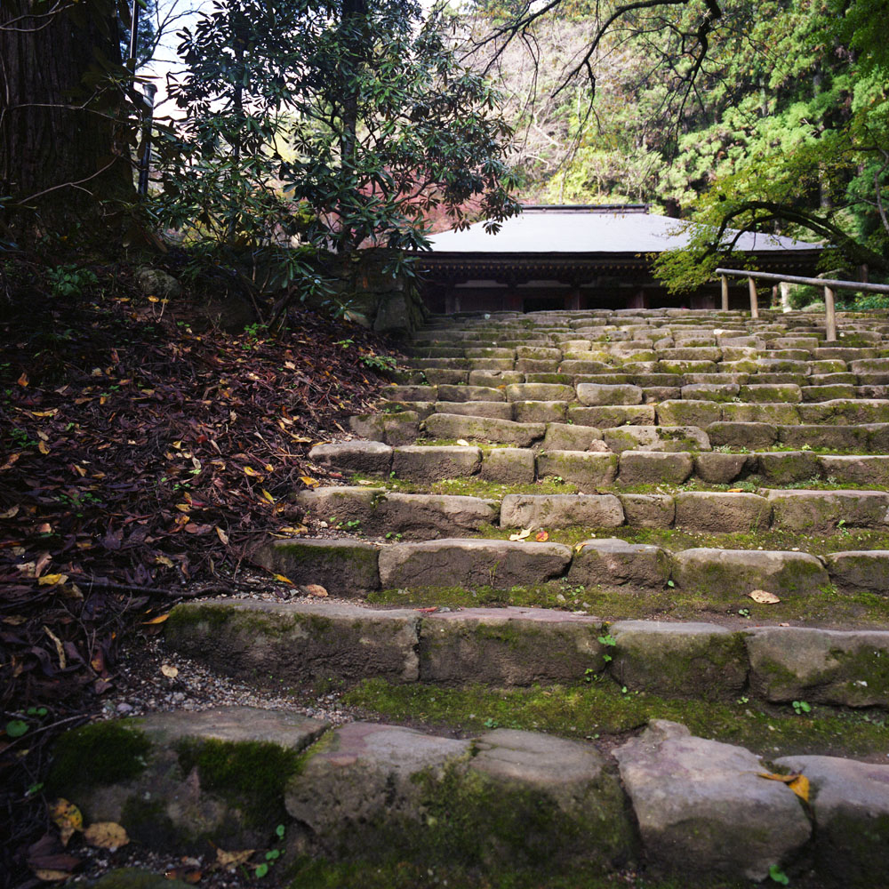 室生寺の鎧坂