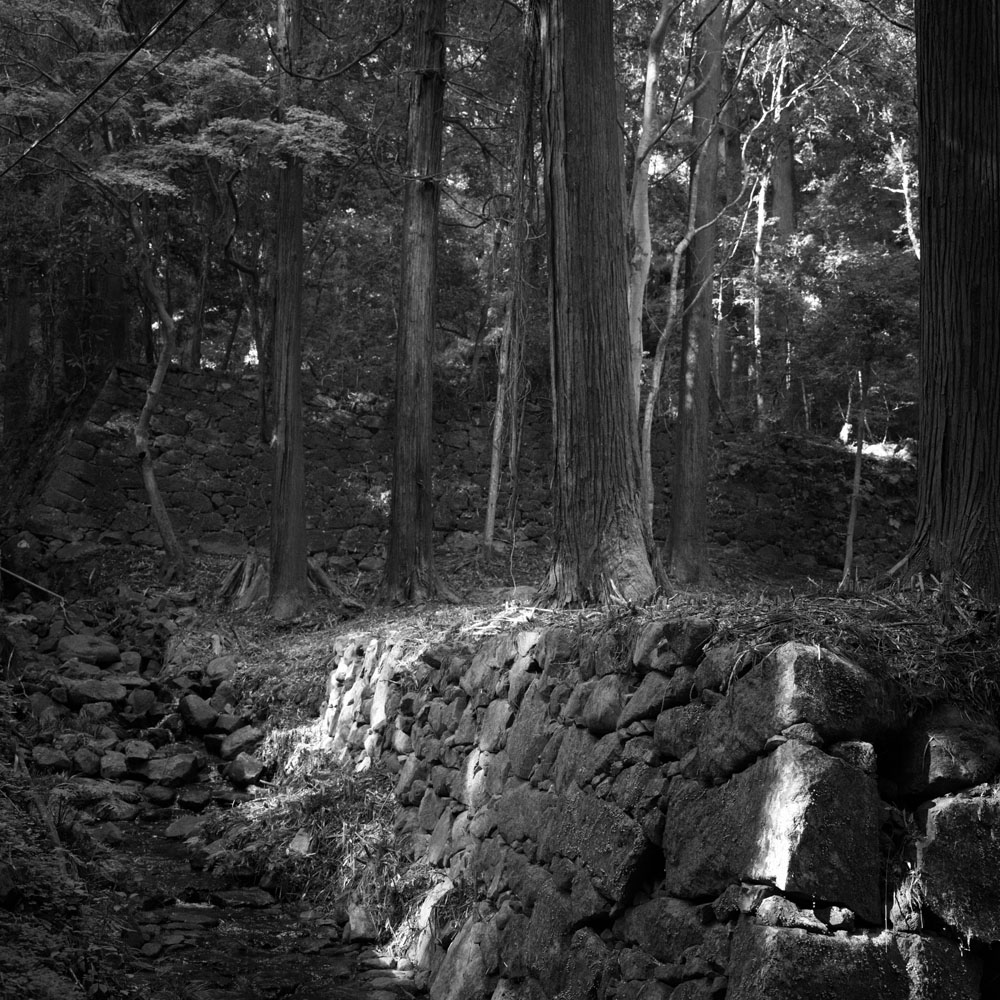 談山神社 東大門の参道