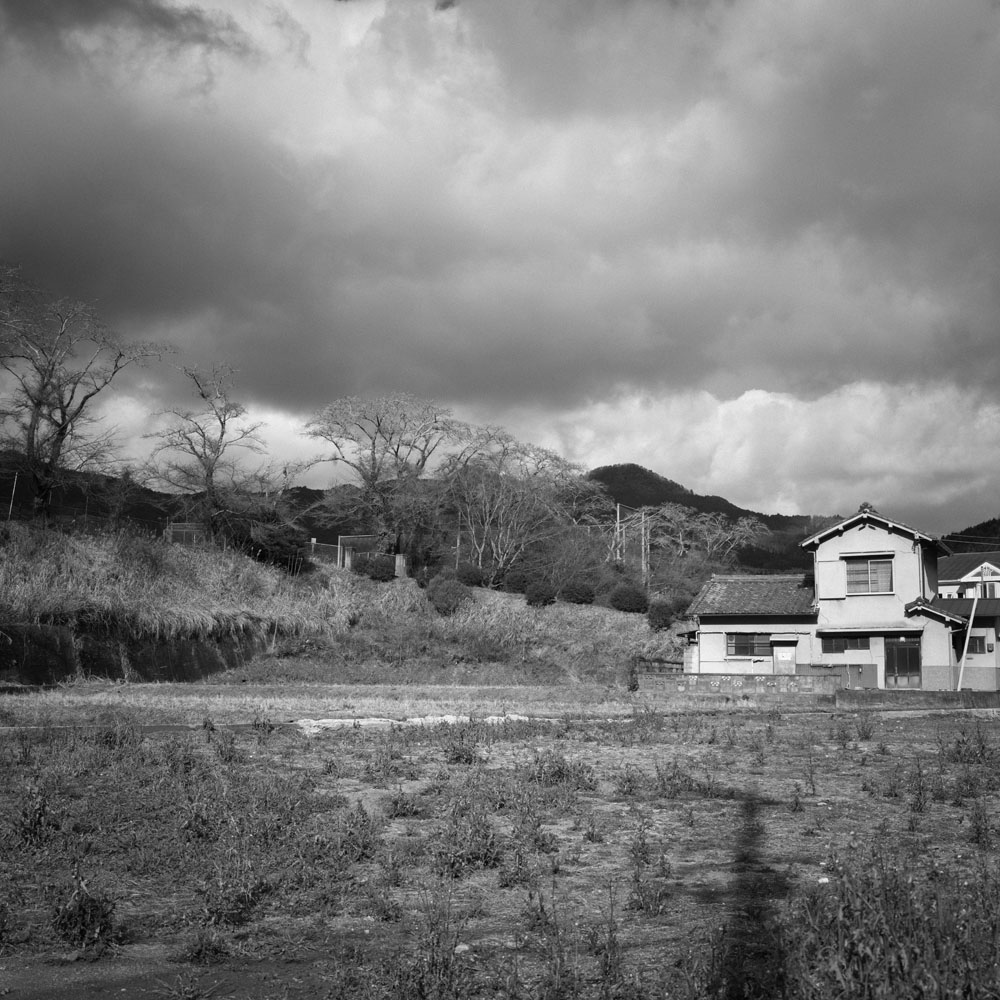 室生ダムの水没林へ向かう道中1