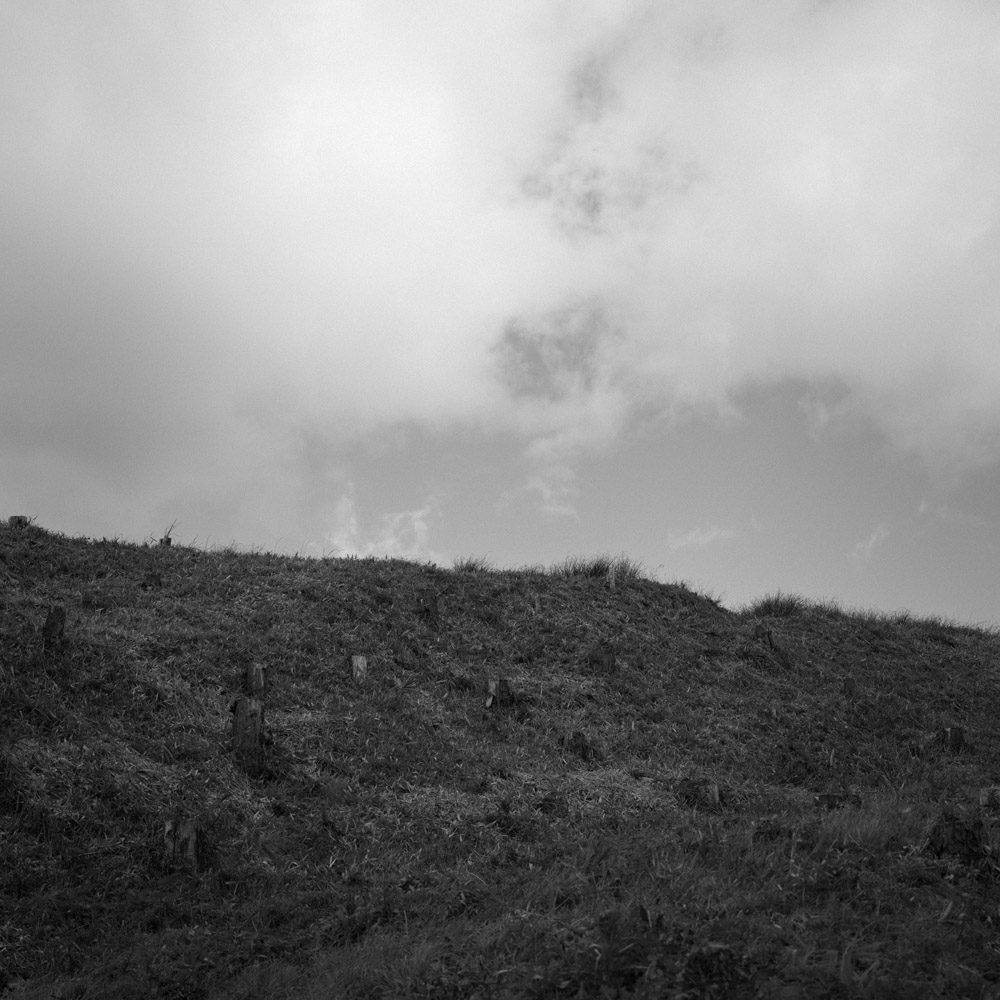 室生ダムの水没林へ向かう道中2