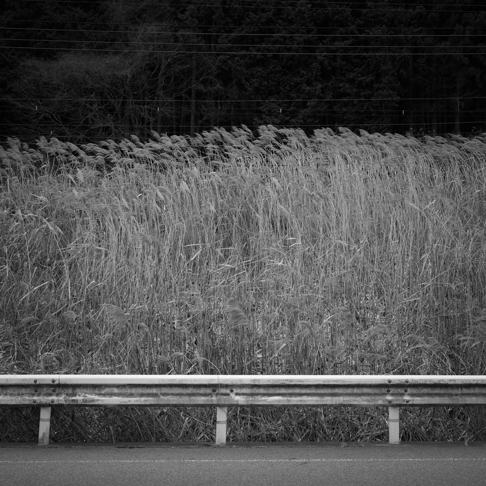 室生ダムの水没林へ向かう道中4