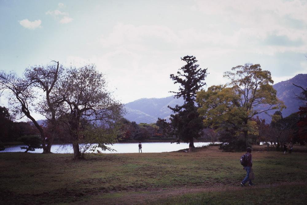 京都の大沢池にペンタックス67IIで撮影に行ってきた