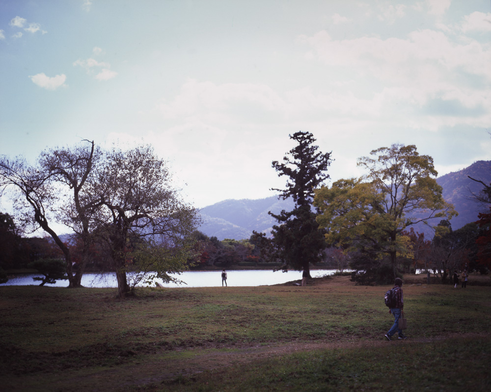 大沢池の景色