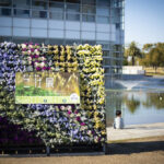 咲くやこの花館のきのこ展・こけ展に行って撮影してきた