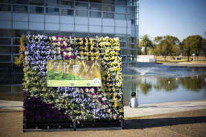 咲くやこの花館のきのこ展・こけ展に行って撮影してきた