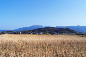 奈良の藤原宮跡の現在をRolleiFlex2.8FとHasselBlad907Xで撮影してきた