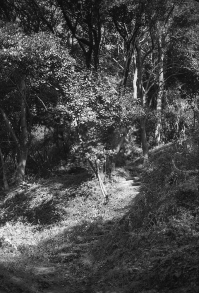 香具山の登山道