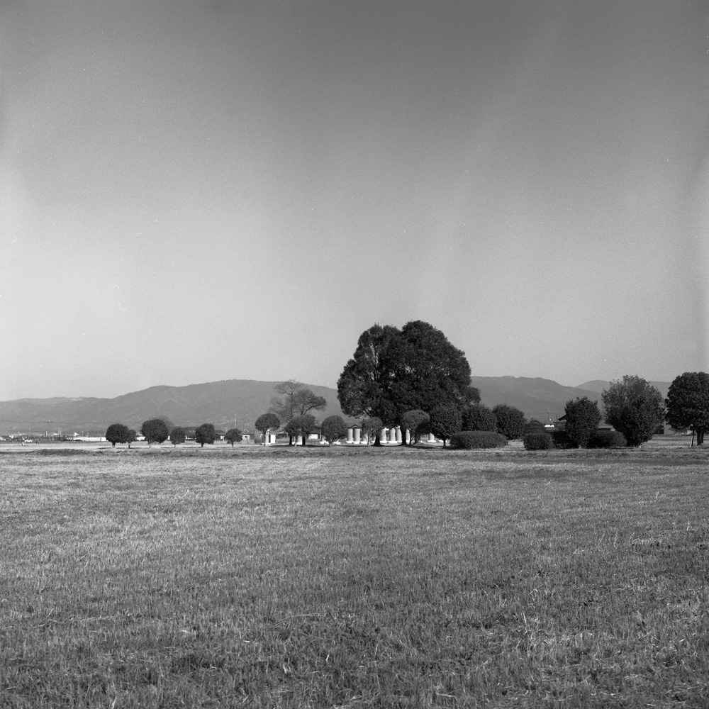 藤原宮跡の見える景色