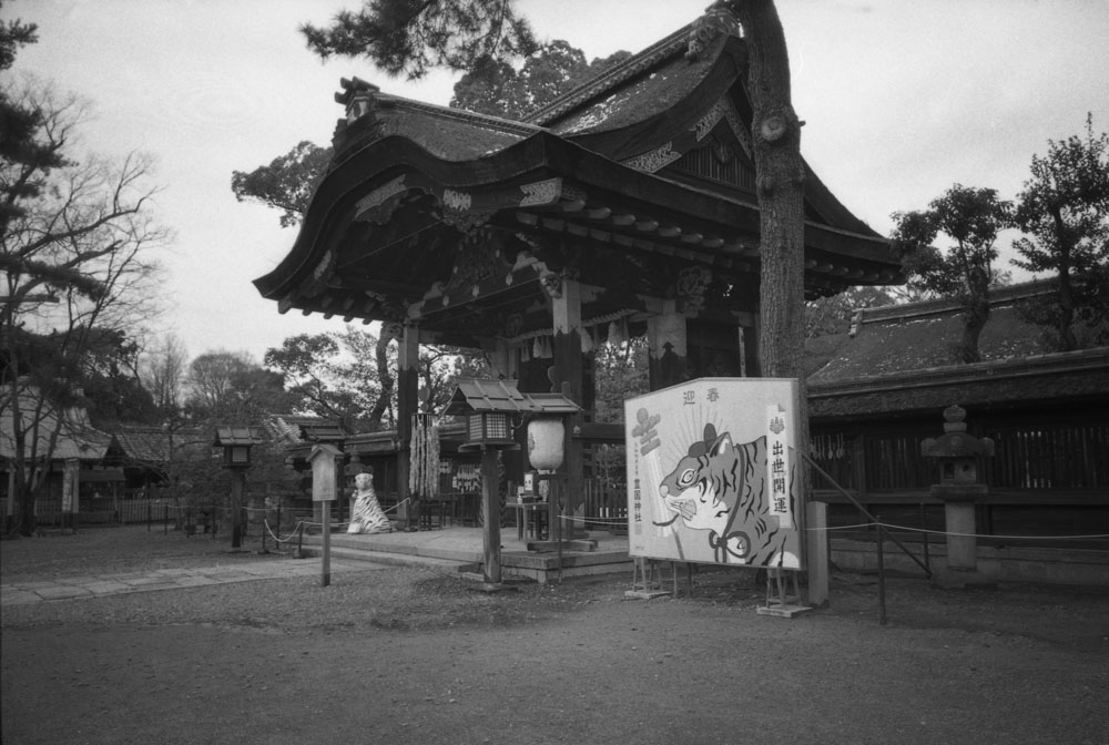 豊国神社の境内