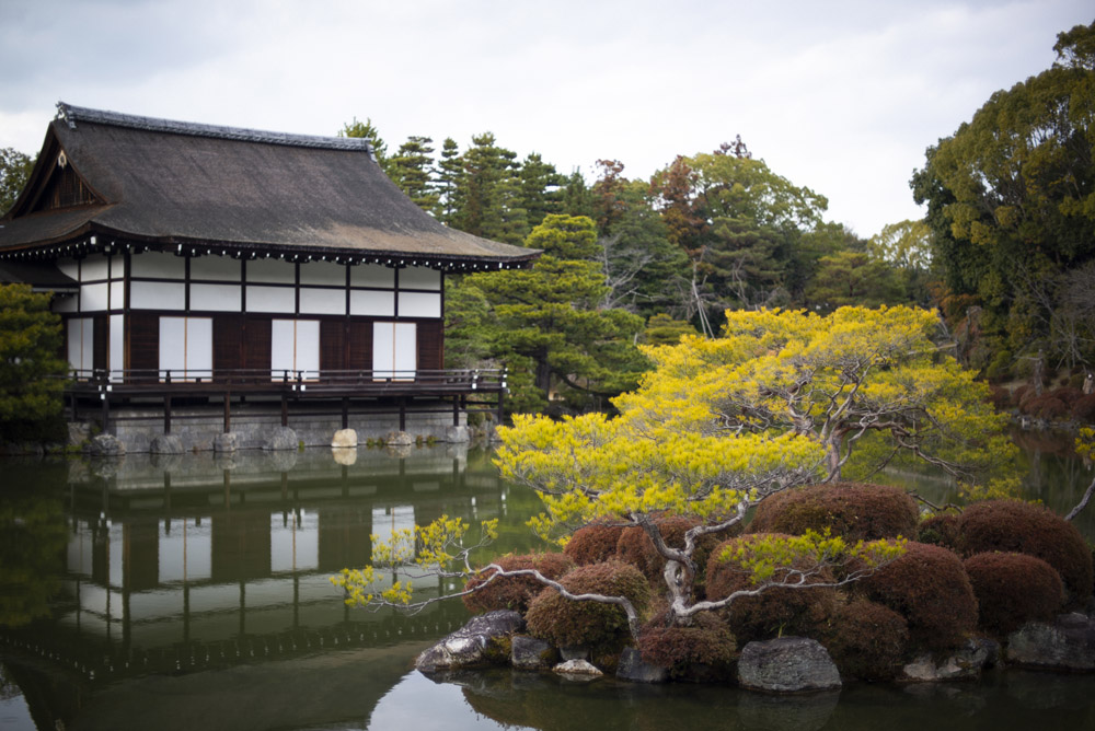 平安神宮の庭園3