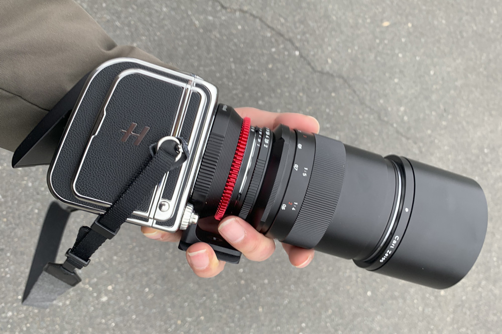 HasselBlad907Xとマクロプラナー100mm