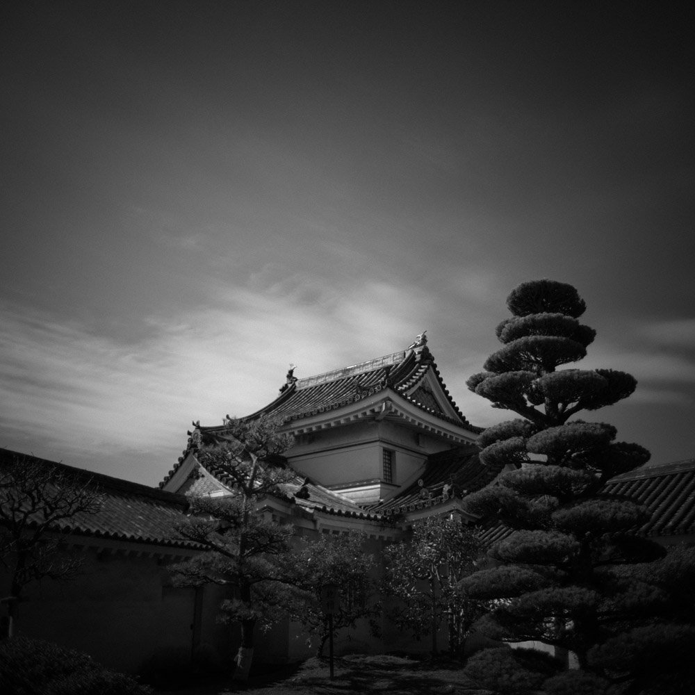 和歌山城内から