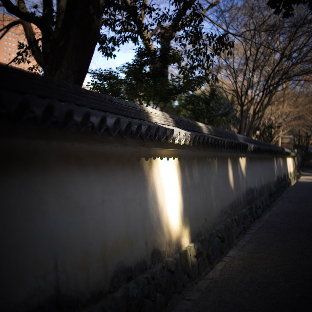 和歌山城の塀