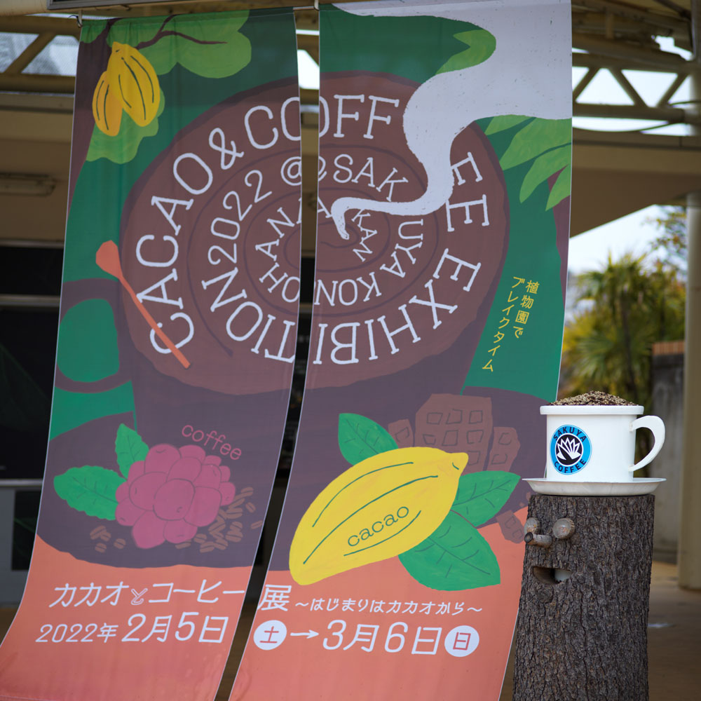 カカオとコーヒー展