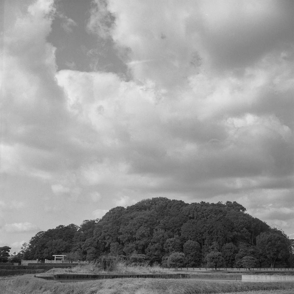垂仁天皇陵が見える景色