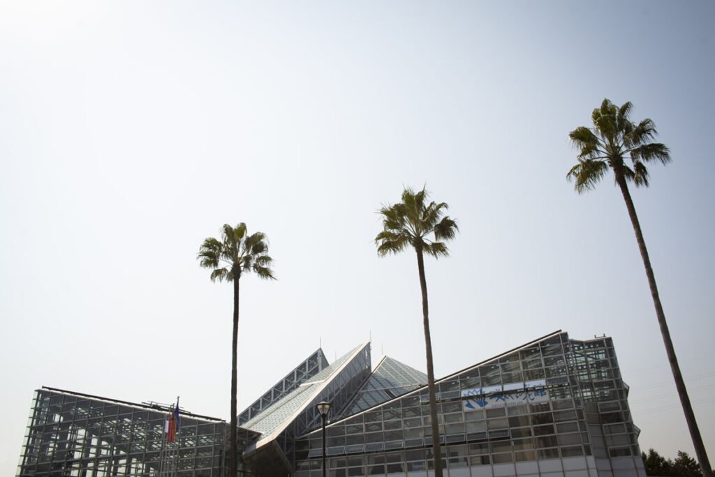 咲くやこの花館へ行ってきた、3月の旬の植物や花を撮影