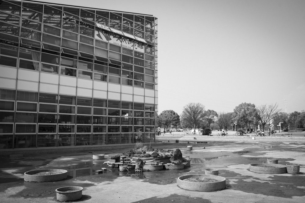 咲くやこの花館の池