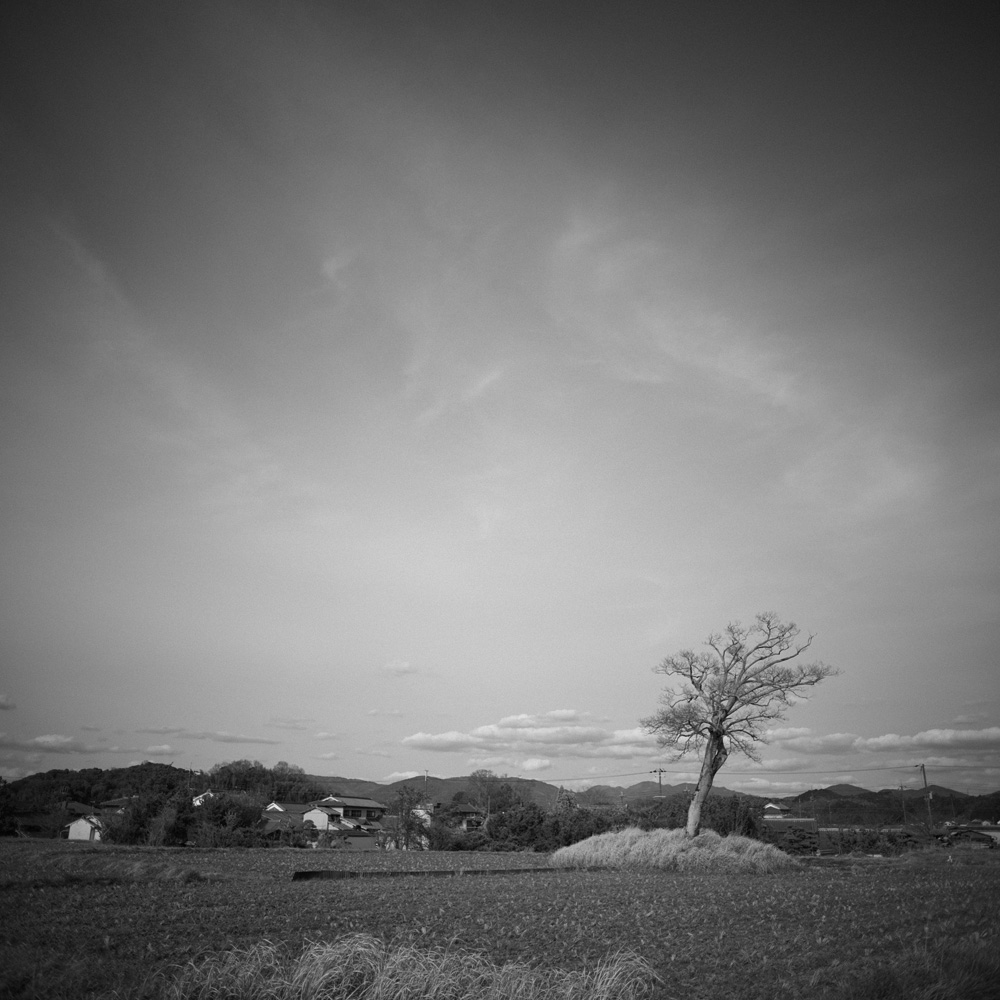 バス停の近くから撮影した小墾田宮跡
