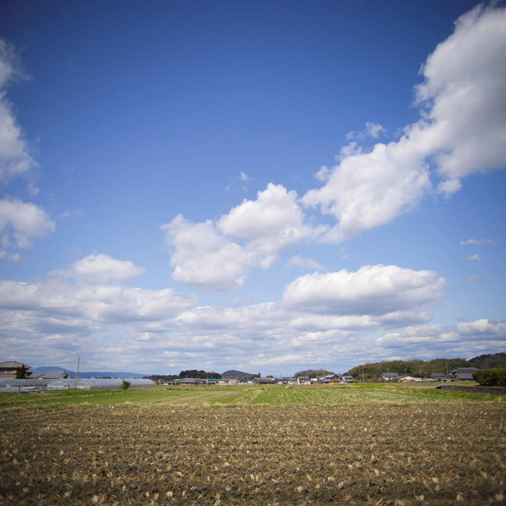 小墾田宮跡周辺の風景