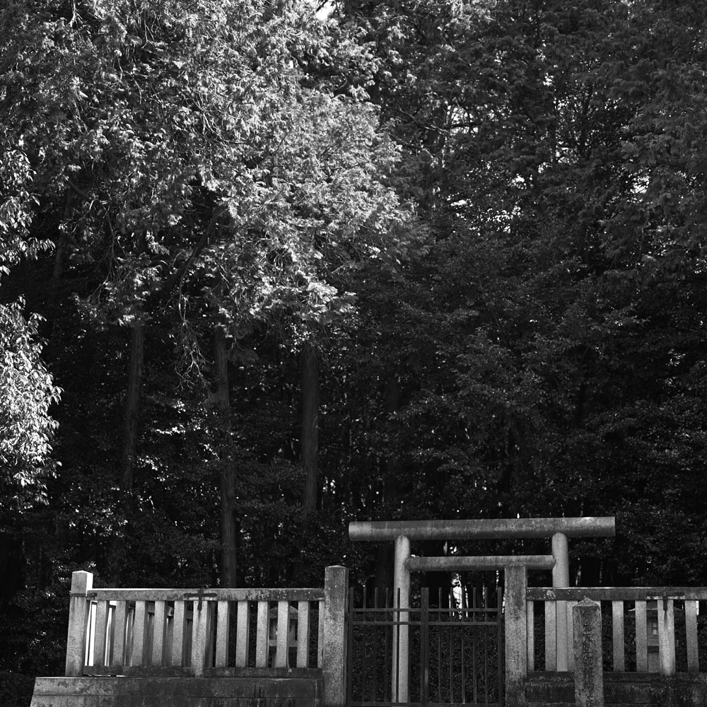 孝元天皇陵と森