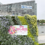 咲くやこの花館へ行ってきた、4月の旬の植物や花を撮影