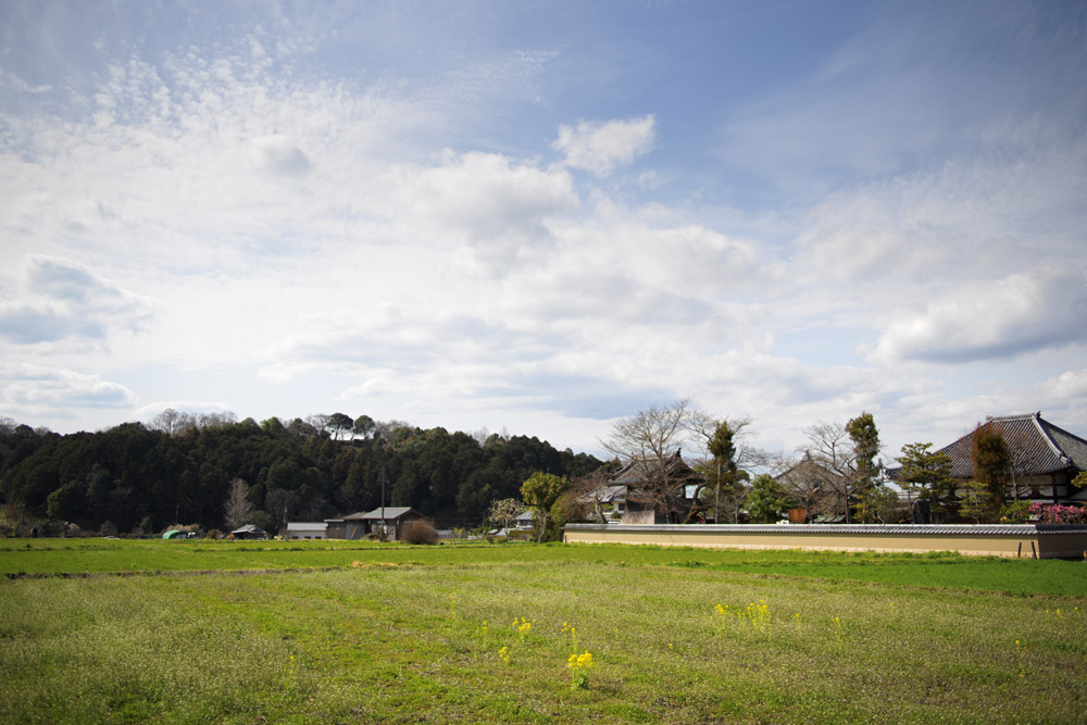 奈良県の飛鳥宮跡がある場所に行って遺跡跡を撮影してきた