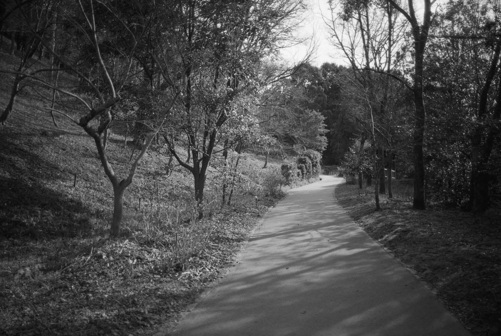 飛鳥歴史公園の風景1