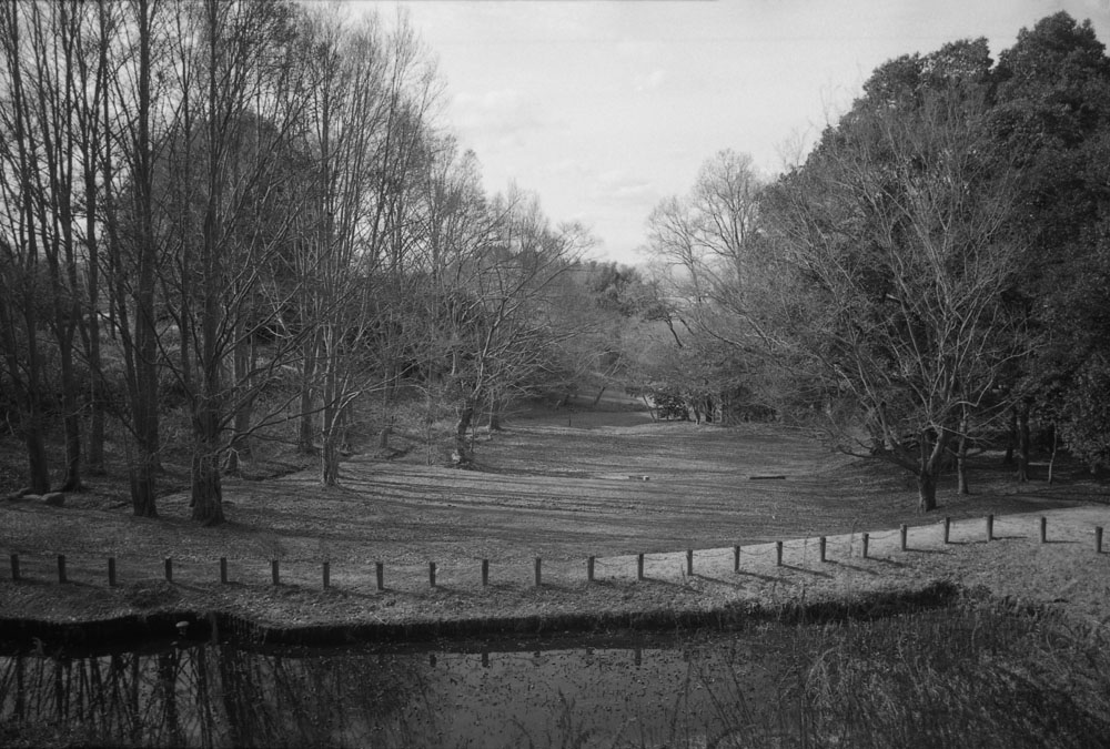 飛鳥歴史公園の風景2