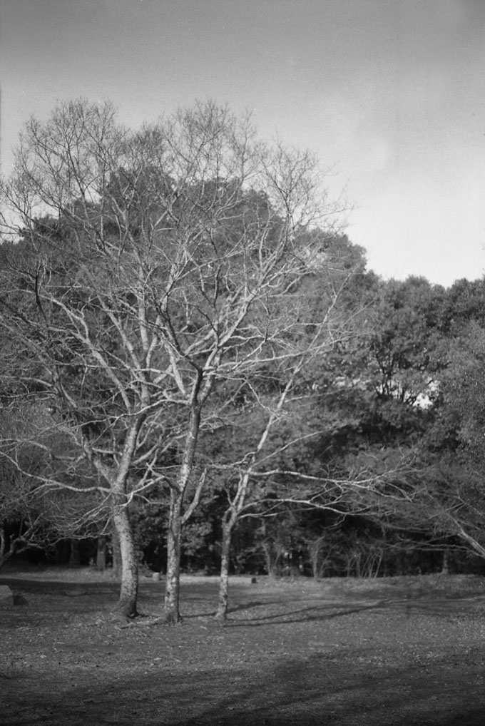飛鳥歴史公園の風景3
