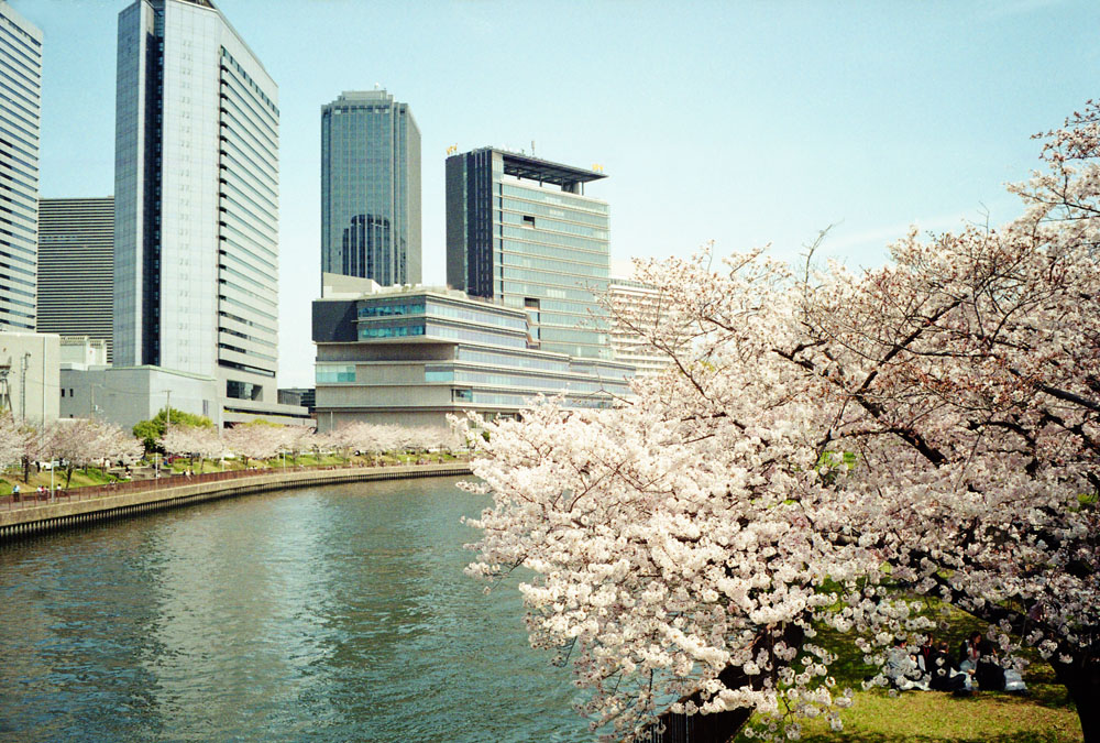 大阪城と桜の景色2