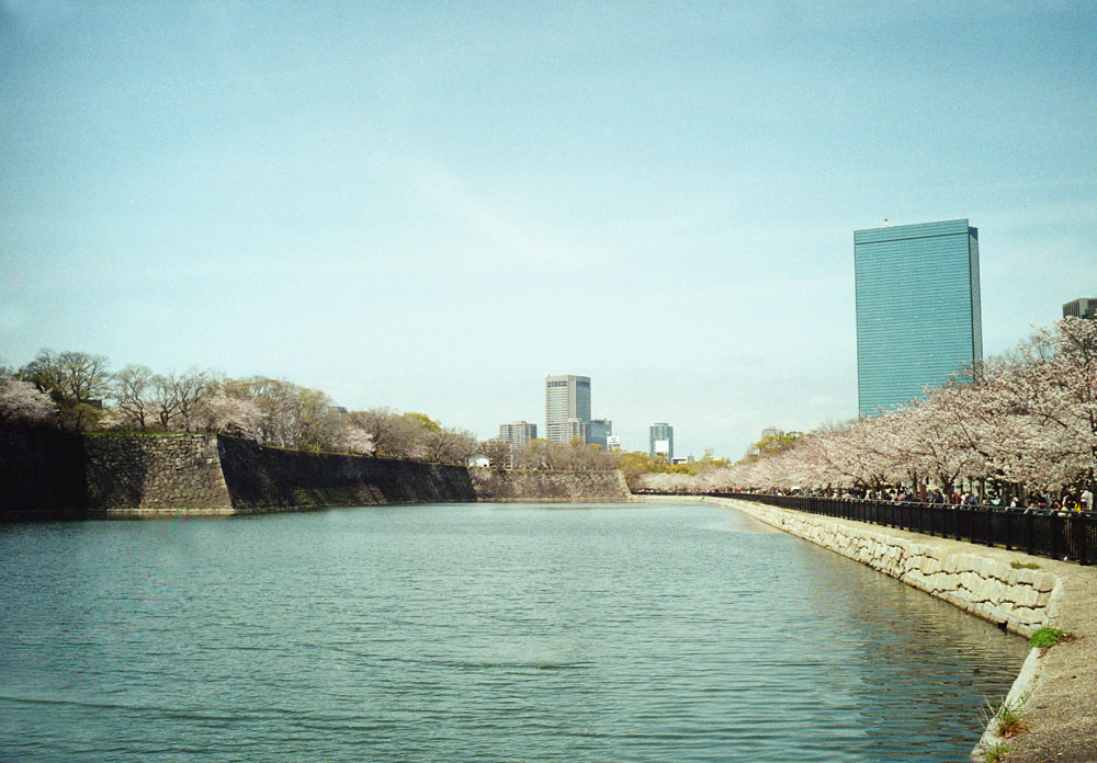 大阪城と桜の景色1
