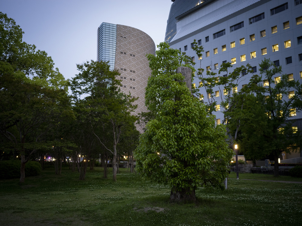 大阪城公園内の風景-1