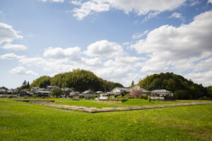 明日香村の川原寺跡の遺跡を見に行って写真撮影をしてきた