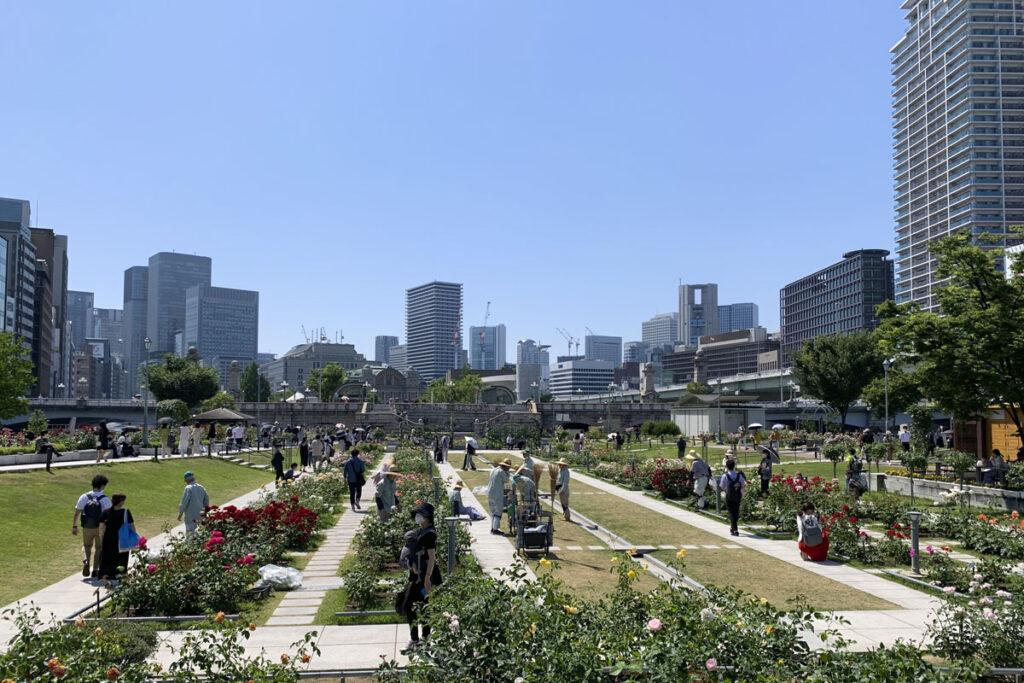 減量のためのウォーキングを兼ねて散歩写真をしてきた（2）