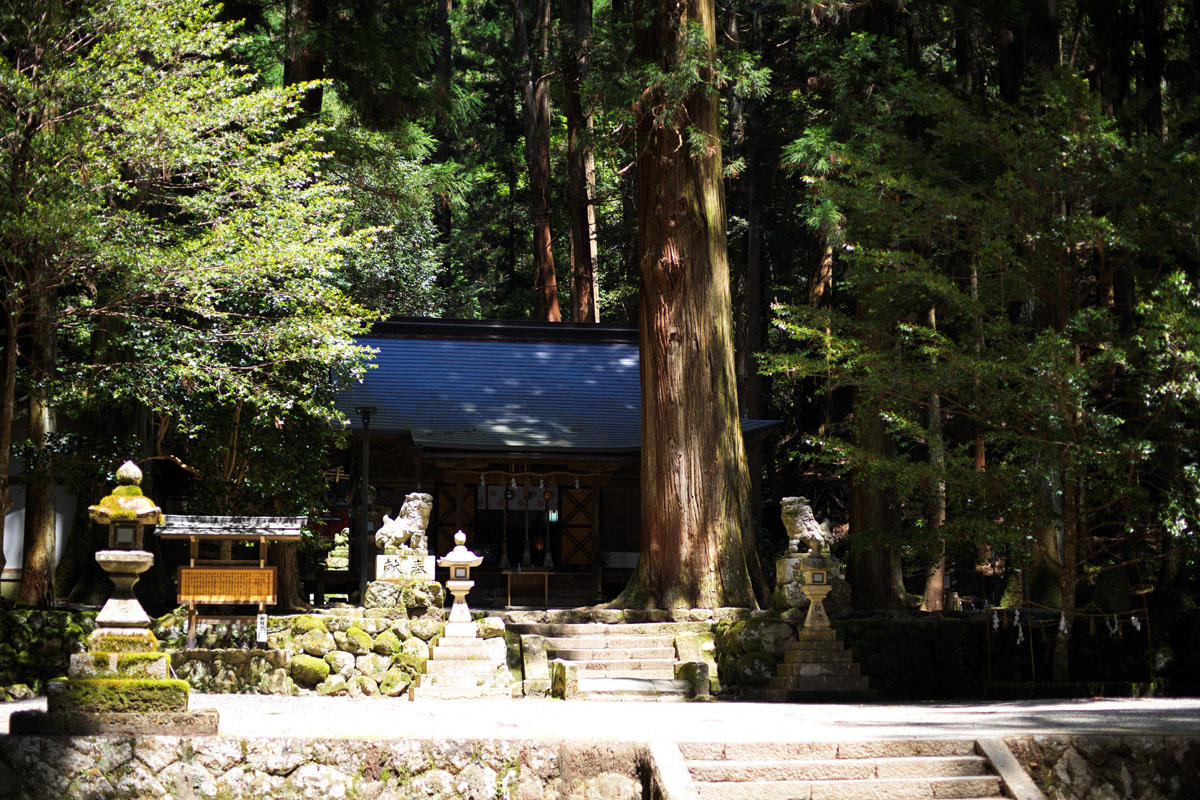 奈良県の室生龍穴神社にバスを利用して向かい撮影してきた