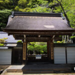 室生寺のシャクナゲの時期に合わせて撮影に行ってきた